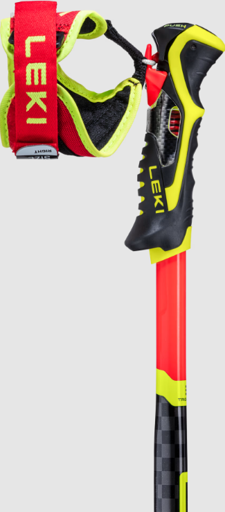 Leki WCR SL 3D Ski Poles