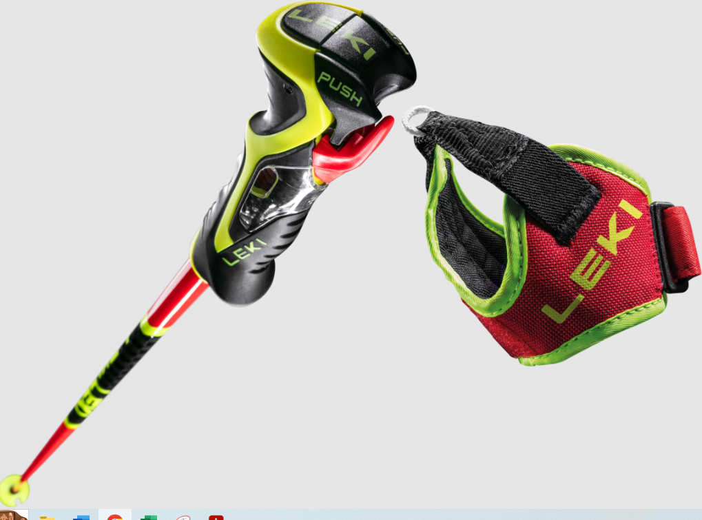 Leki WCR SL 3D Ski Poles