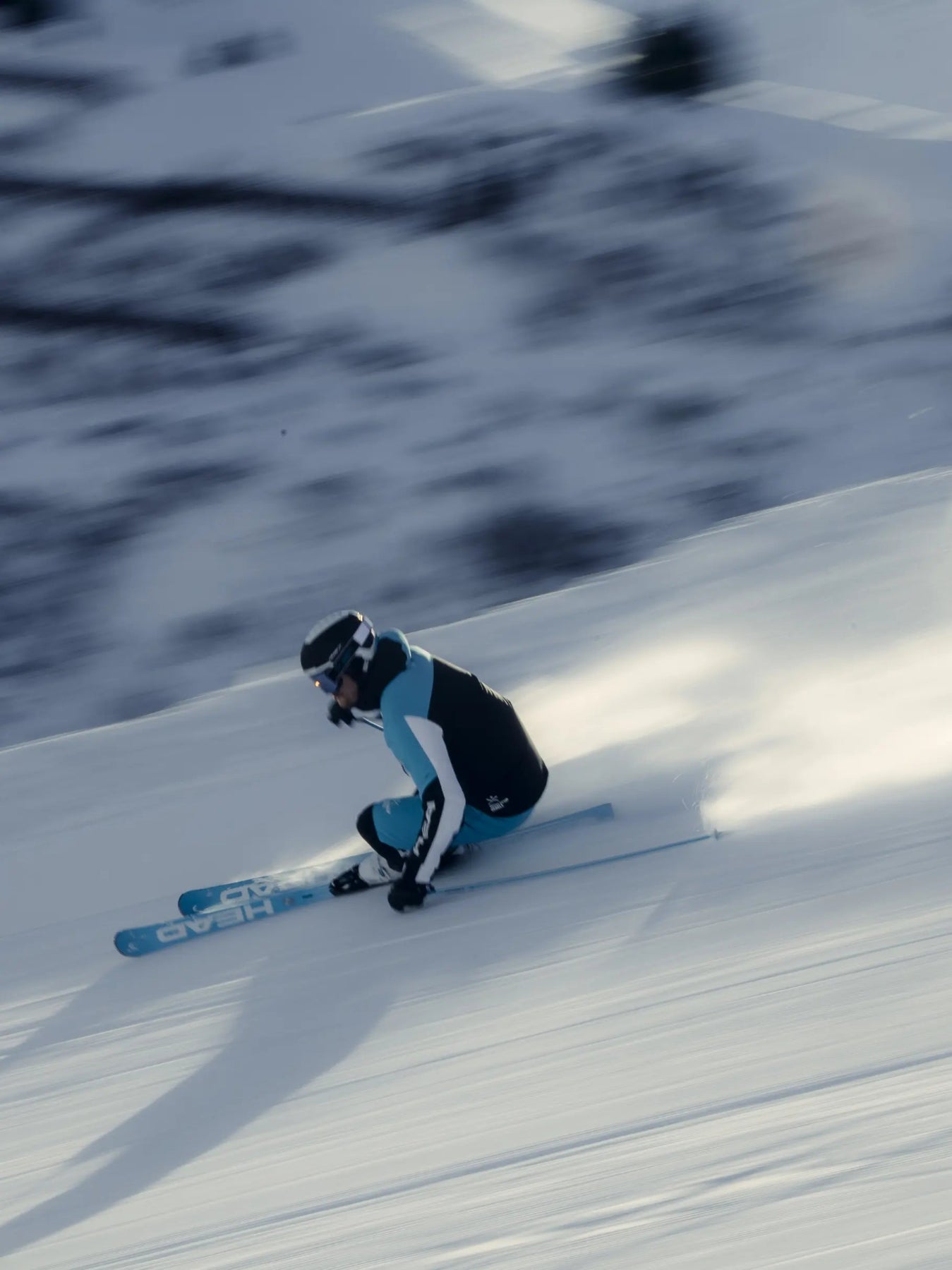 Head Worldcup Rebels e-Speed Pro Skis 2027 Action