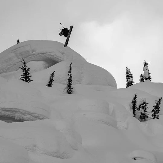 Le Bent Sammy Carlson Pro Series Light Cushion Snow Socks